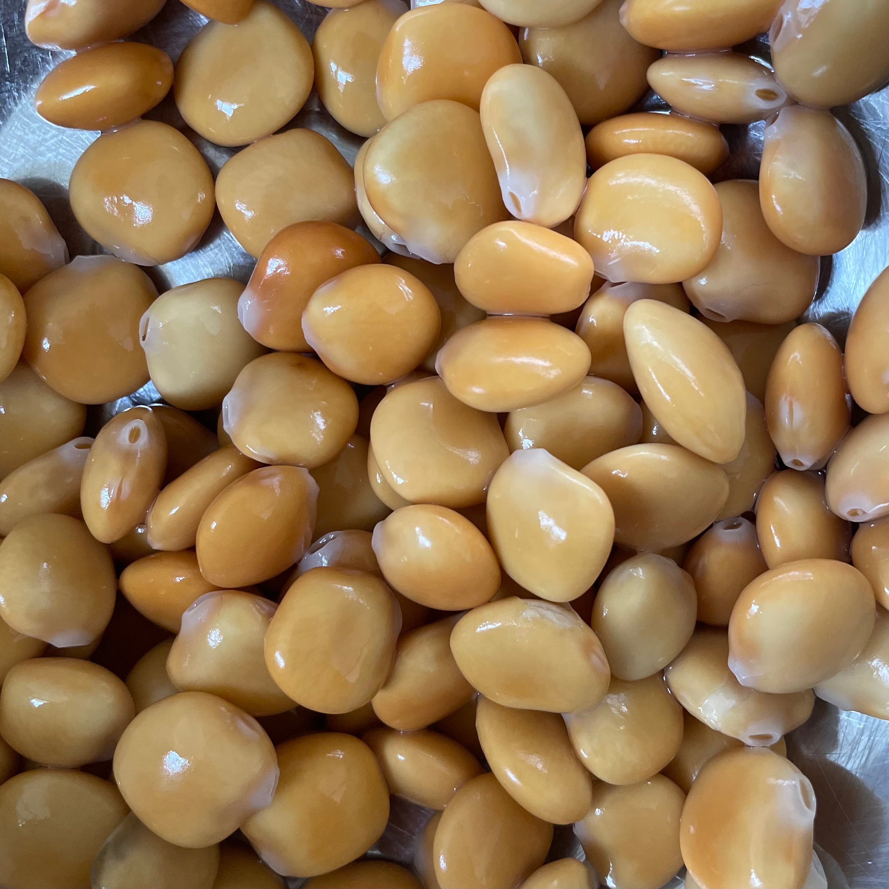 Lupini beans